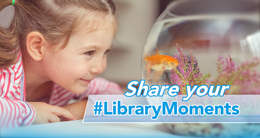 Share your #LibraryMoments girl looking at a goldfish inside a bowl